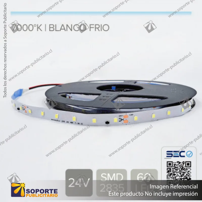 CINTA LED 4.8W 24V 60L BLANCO FRIO (ROLLO 10 MTS)